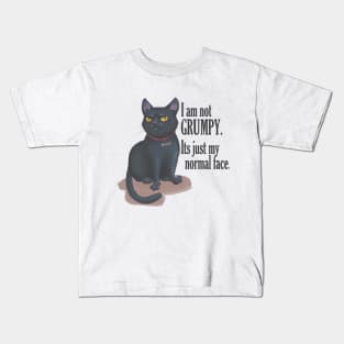 cat with groompy face Kids T-Shirt